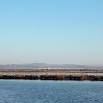Sensaltro San Fulgencio