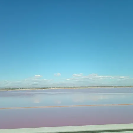 Sensaltro San Fulgencio