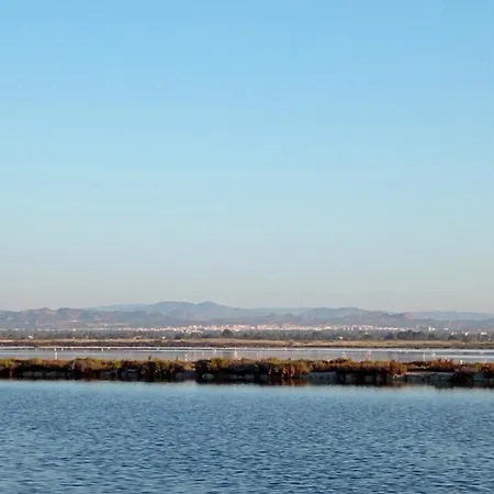 Sensaltro San Fulgencio