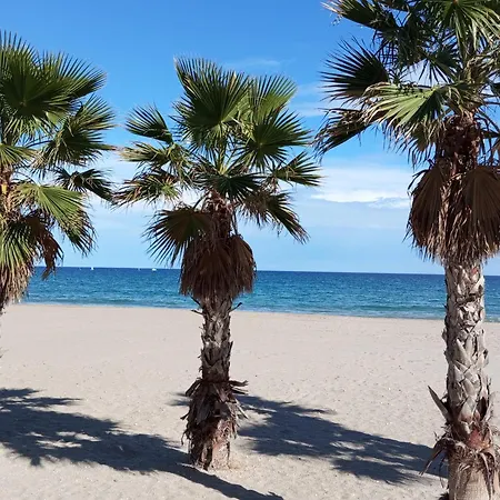 Sensaltro San Fulgencio